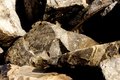 Rock (Abstract)
