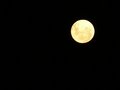 Evening Moon