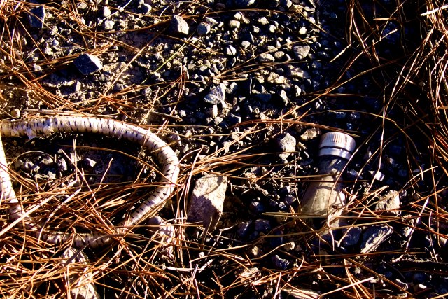 Buried Treasure (Human Impact)