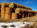 Rows of Bails