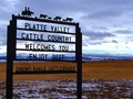 Cattle Country