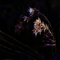 Touched by the Wind 3