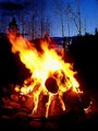 Bonfire