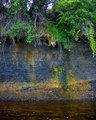Bank of the River