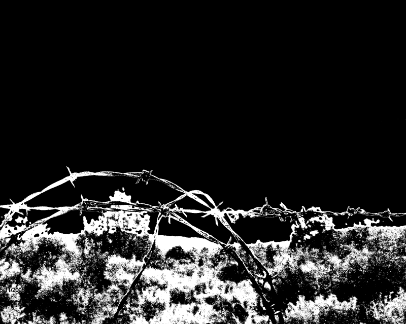 Barbwire