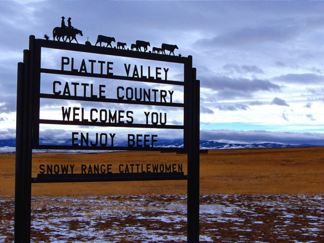 Cattle Country