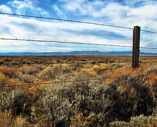Sagebrush Fence