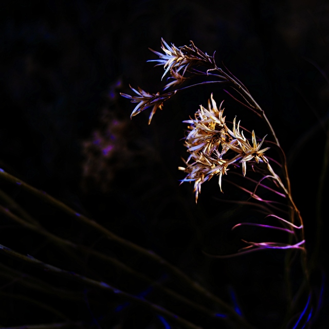 Touched by the Wind 3