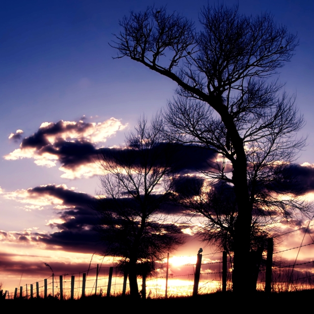 Watching Sundown