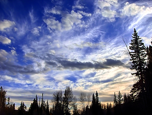 Skyscape