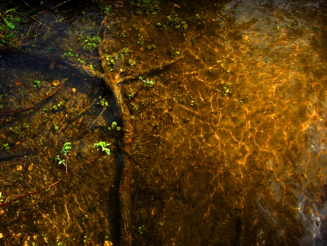 Submerged