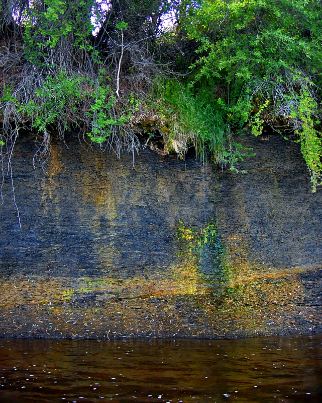 Bank of the River