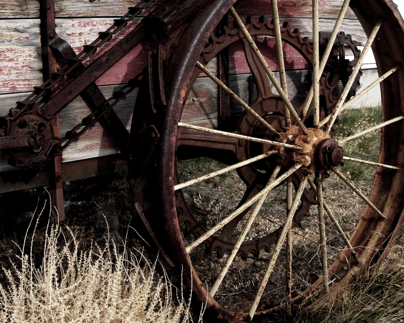 Wheel