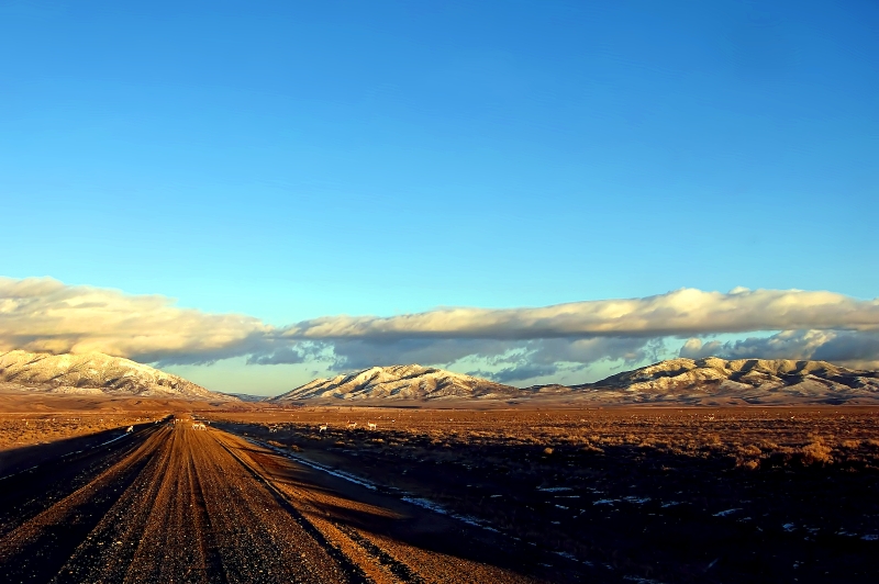 Where the Antelope Roam