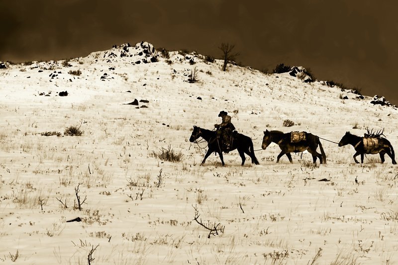 The Hunter Returns