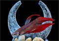Dragon Moon 