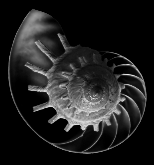Ghostwheel