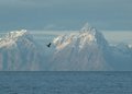 Arctic Soar