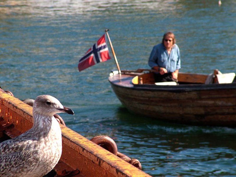 The Modern Mariner