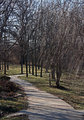 Winter Path