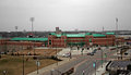 Day 29  Hammons Field