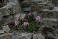 Day 7  Among the Rocks