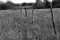 Fenceline