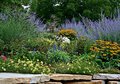 Garden in the Park