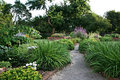 Phelps Grove Park