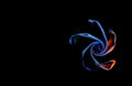 Opening Abstract