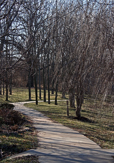 Winter Path