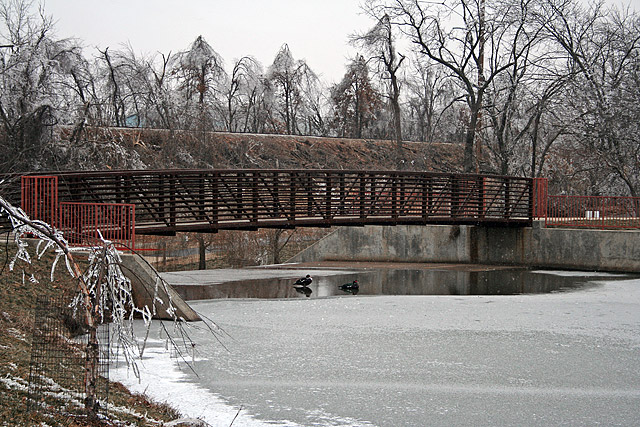Bridge over Frozen Pond