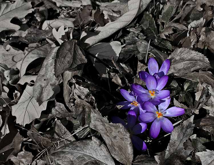 Spring is Almost Here!