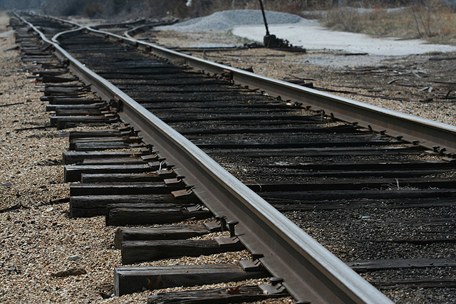 Day 1  Tracks
