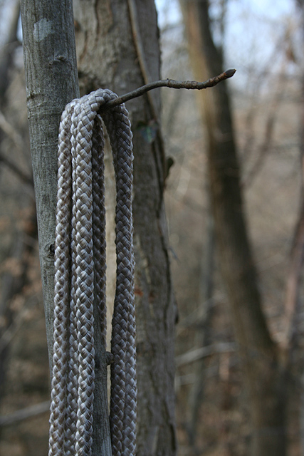 Day 3  Rope