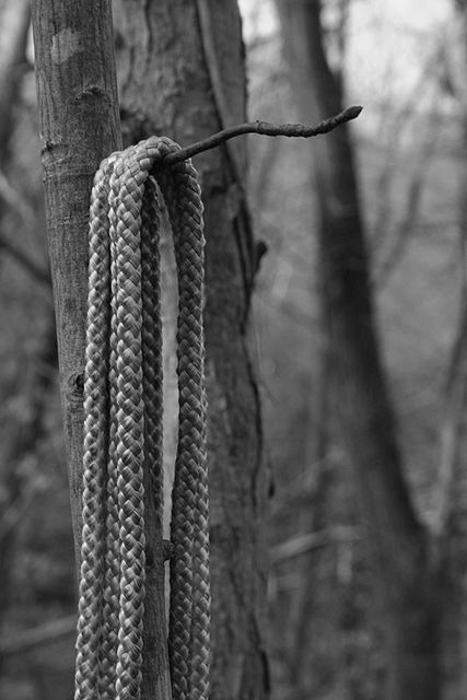 Day 3 Rope B&W