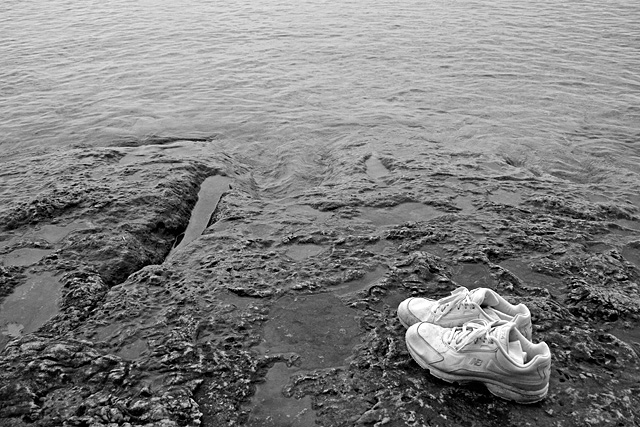 Waiting by the Shore
