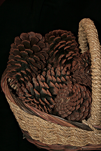 Basket of Pine Cones