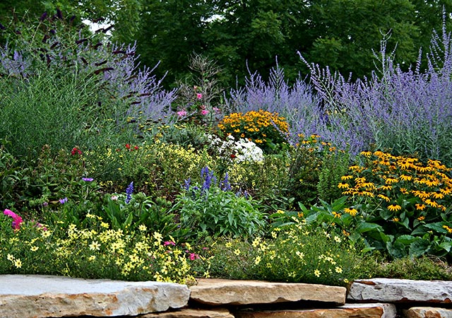 Garden in the Park