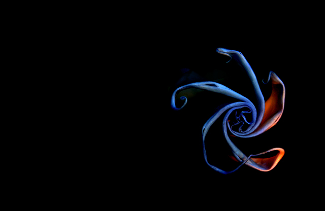 Opening Abstract