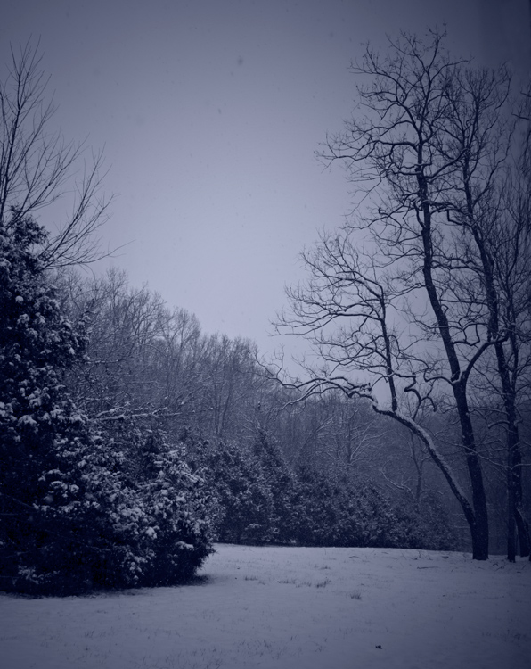 Snowy Evening