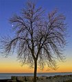 Sunset and Moonrise 1