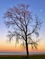 Sunset and Moonrise 2