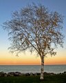 Sunset on Lake Michigan