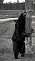 bearhug