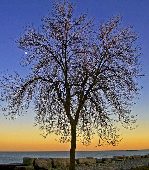 Sunset and Moonrise 1