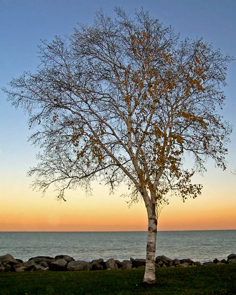 Sunset on Lake Michigan