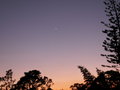 Evening Glow.JPG