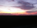 Sunset in the cane fields.JPG
