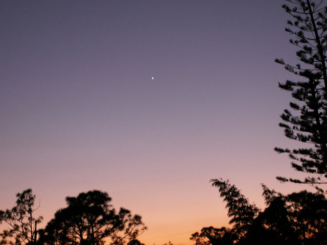 Evening Glow.JPG